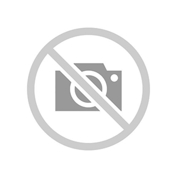 Triumph Scrambler 400 X